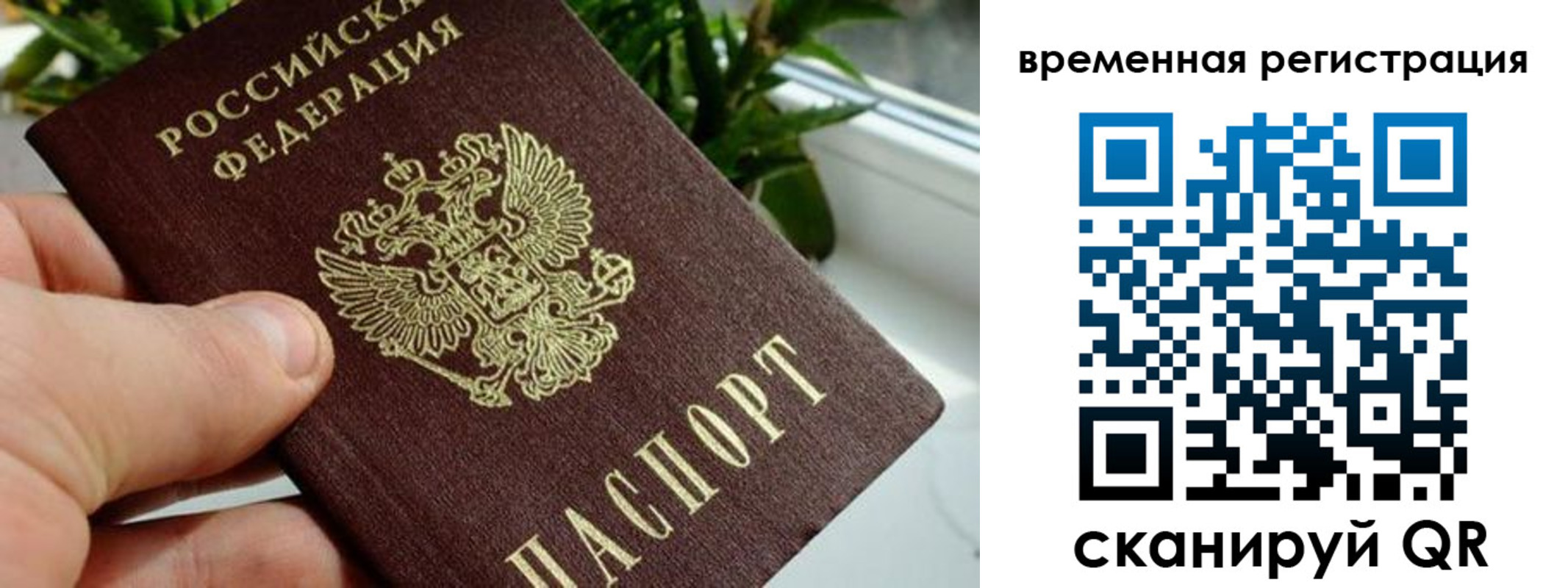 прописка поиск в Кунгуре
